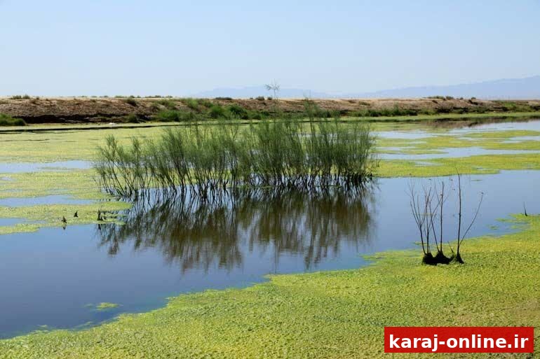 تالاب صالحیه صاحب پاسگاه محیط‌بانی می‌شود؛ مقابله با شکار و تخریب‌های زیست‌محیطی