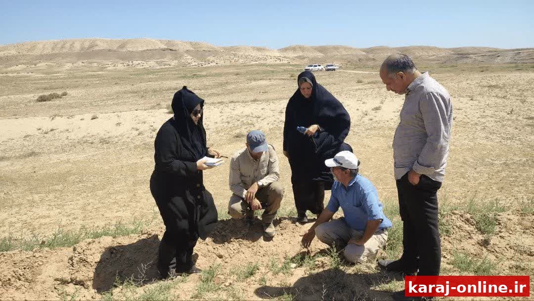 احیای ۲۷۰ هکتار مراتع چهارباغ با طرح‌های بیومکانیکی