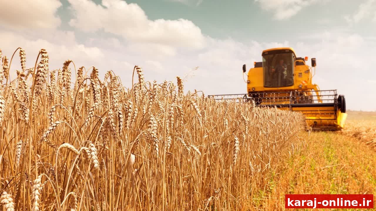 الماسی، مدیر جهاد کشاورزی نظرآباد