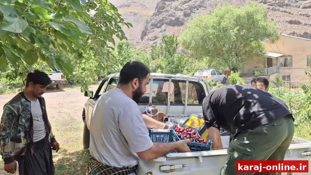 نذر محصولات کشاورزان طالقان در موکب شهدا
