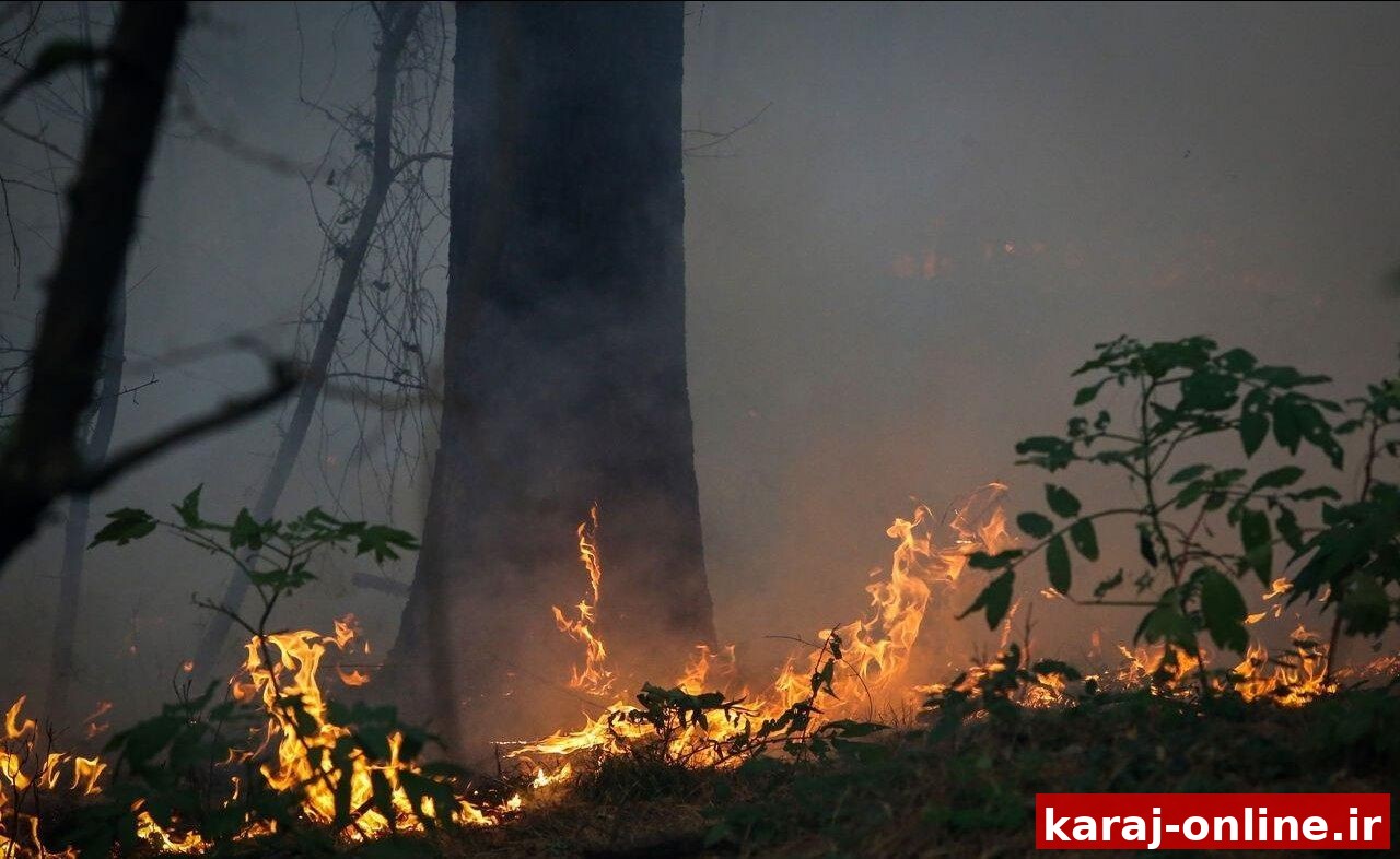 آتش‌سوزی در اراضی کشاورزی پل حصارک کرج مهار شد