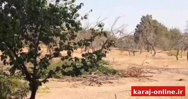 قطع سهمیه آب باغات کلاک از رودخانه کرج/بخشی از هویت کرج خشک شد
