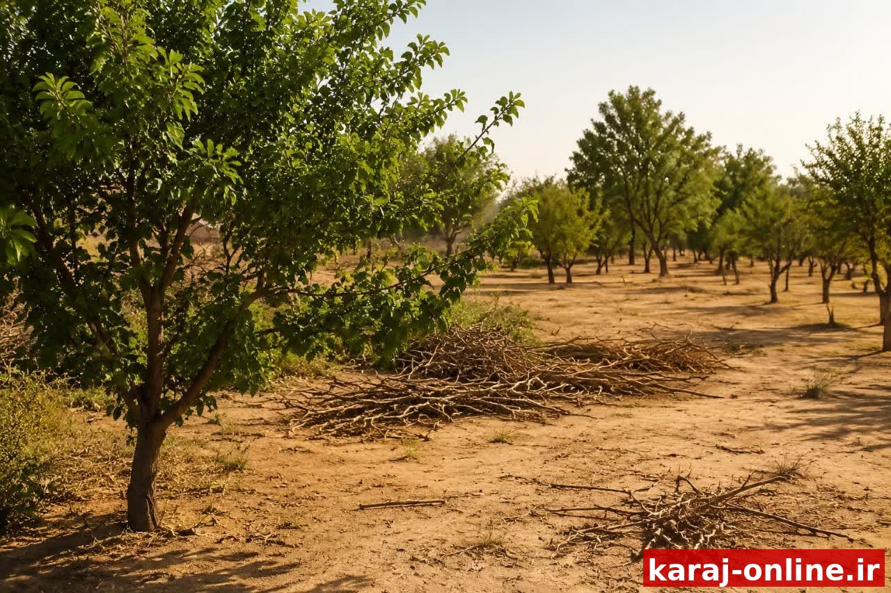 باغات کلاک؛ ریه‌های تنفسی کرج در آستانه خشکی