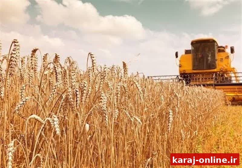 گندم، محصول استراتژیک؛ اما مطالبات کشاورزان روی زمین مانده است