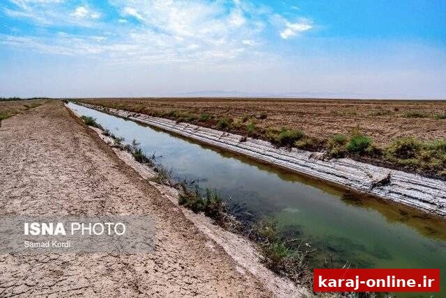 آغاز فاز نخست احیای تالاب صالحیه/انسداد زهکش در دستور کار قرار گرفت