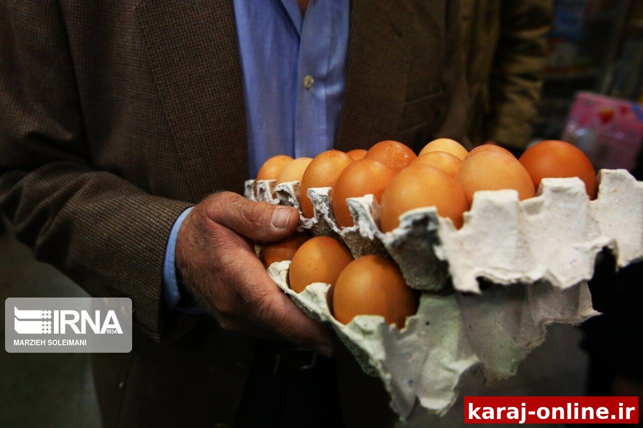 تخم‌مرغ‌های سیار؛ بمب‌های خاموش مسمومیت غذایی