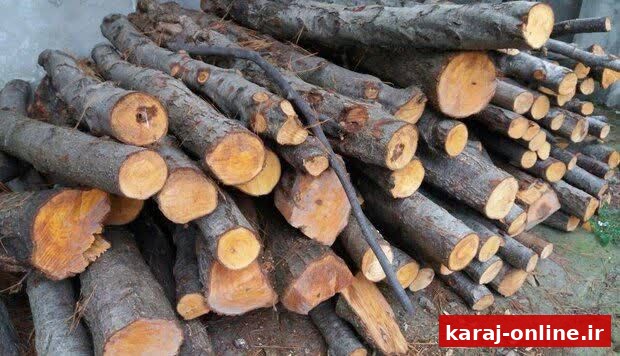 ضربه سنگین پلیس به قاچاقچیان چوب در چهارباغ