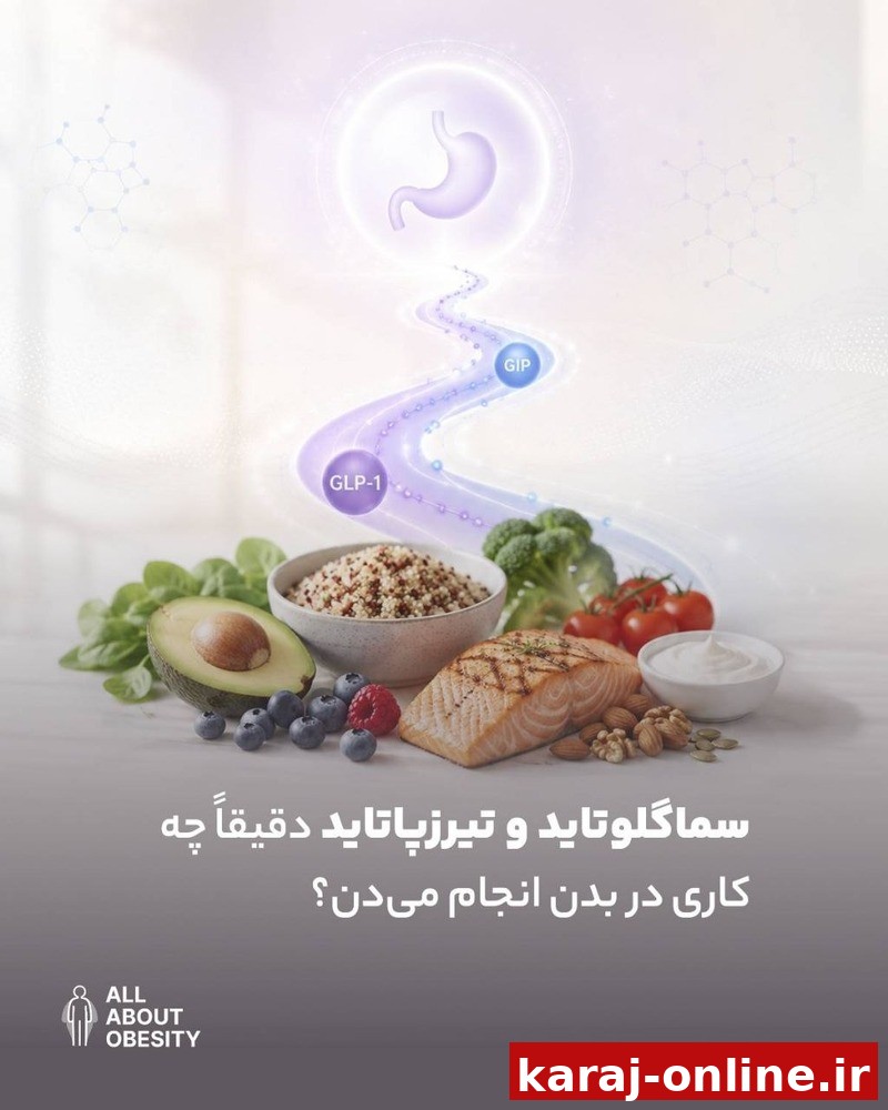 سماگلوتاید و تیرزپاتاید دقیقاً چه کاری در بدن انجام می‌دن؟