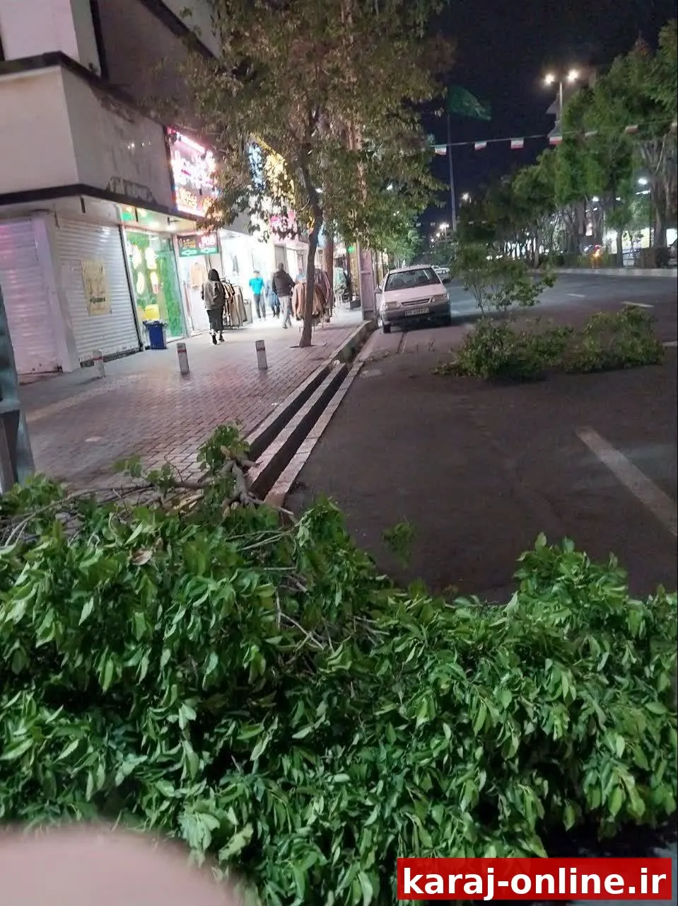 سرعت و شدت باد موجب شکسته شدن درختان در خیابان هفت تیر و داخل فردیس شده