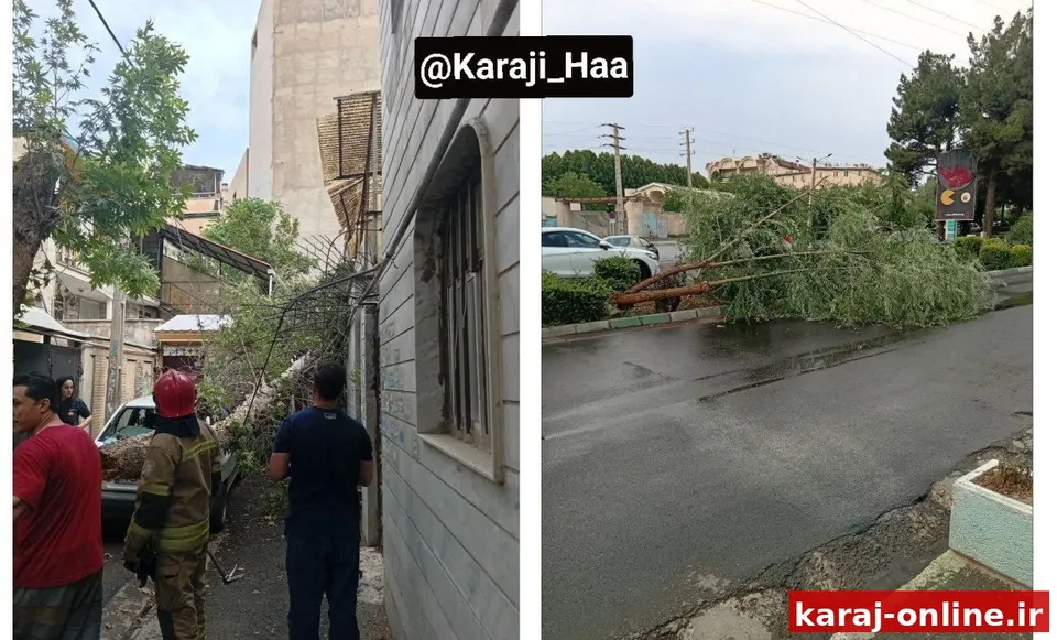 سقوط درختان در مهرشهر بر اثر وزش شدید باد