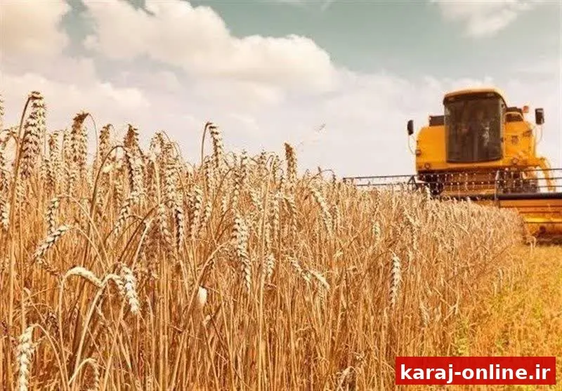 گندم، محصول استراتژیک؛ اما مطالبات کشاورزان روی زمین مانده است