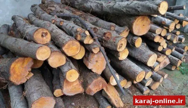 ضربه سنگین پلیس به قاچاقچیان چوب در چهارباغ