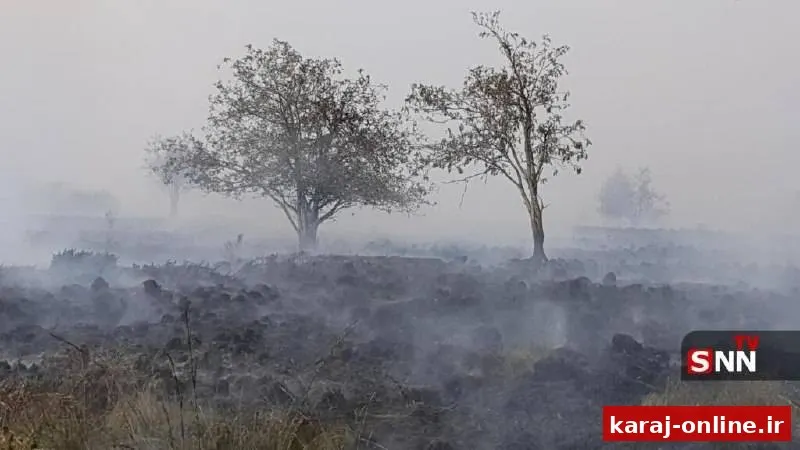 آتش‌سوزی جنگلی در بلژیک بیش از ۲۷۰۰ هکتار را سوزاند