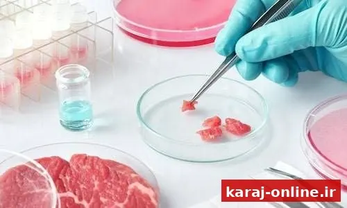 توضیح دامپزشکی درباره کشف گوشت اسب یا الاغ در کرج