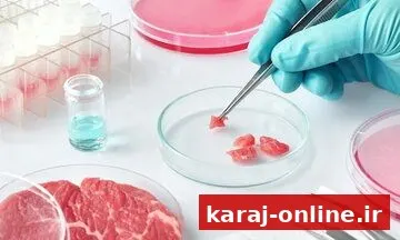 دامپزشکی البرز: اسب یا الاغ بودن گوشت‌های توقیفی در کرج تأیید نشده است