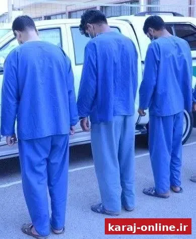 سارقان باغ‌ویلاهای چهارباغ دستگیر شدند