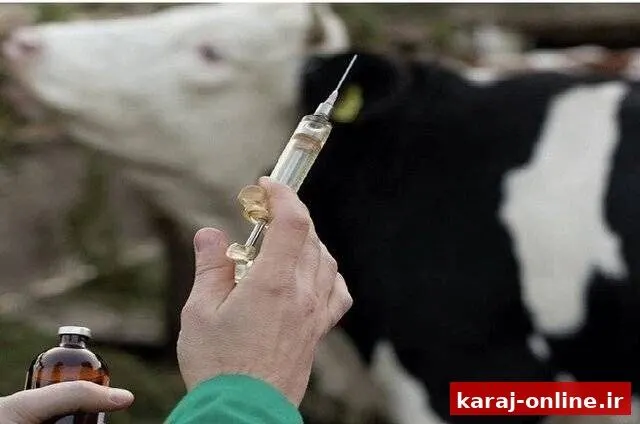 هیچ نشانه‌ای از تب برفکی در استان مشاهده نشده است