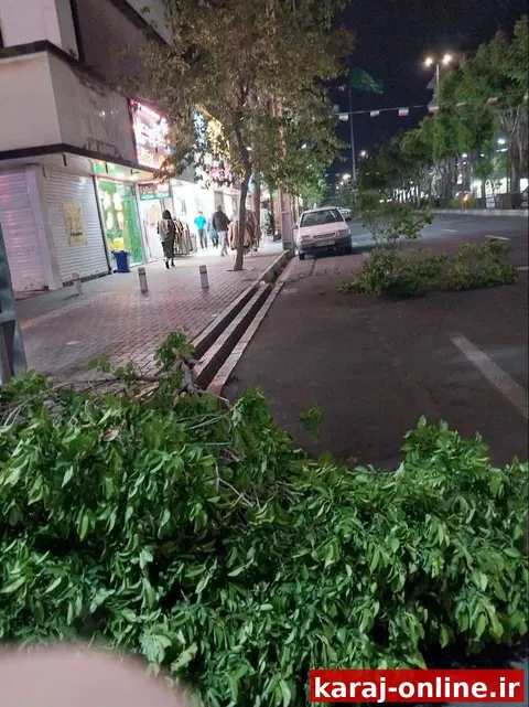 سرعت و شدت باد موجب شکسته شدن درختان در خیابان هفت تیر و داخل فردیس شده