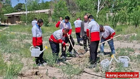 نهالستان بزرگ کرج میزبان طرح ملی درختکاری