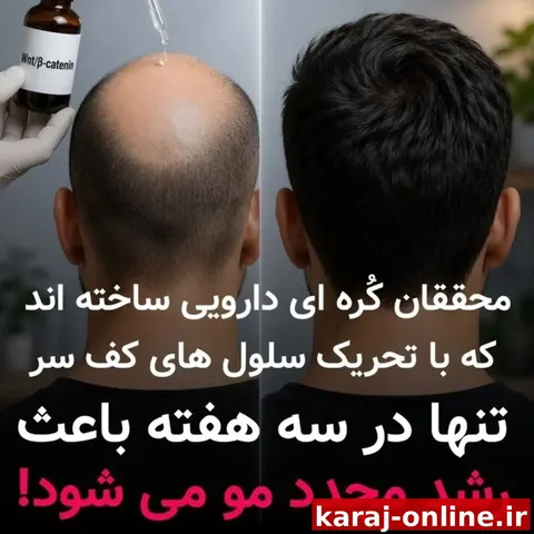 محققان كره‌اى در تحقيقات جديد