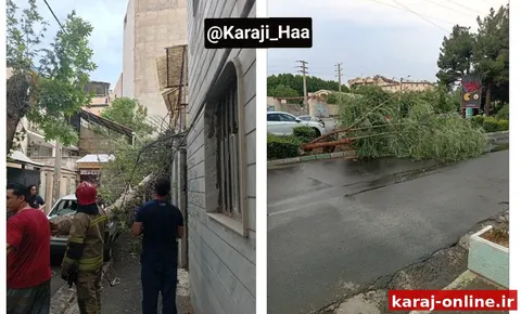 سقوط درختان در مهرشهر بر اثر وزش شدید باد