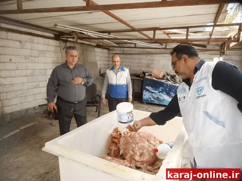 کشف ۳۰۰ کیلو مرغ فاسد در هشتگرد