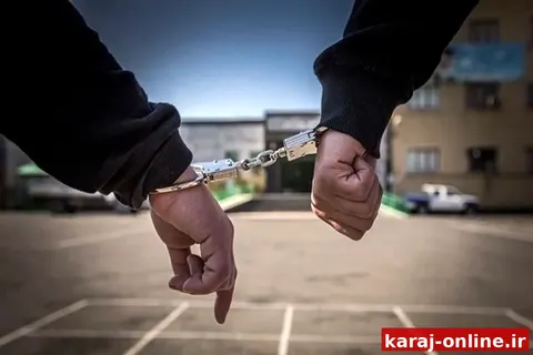 کاهش ۲۵ درصدی سرقت در البرز طی ۵ سال