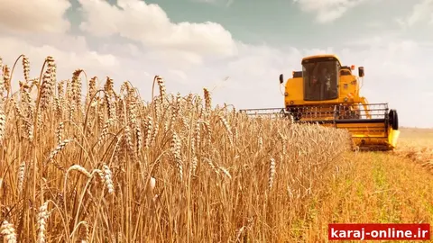 الماسی، مدیر جهاد کشاورزی نظرآباد
