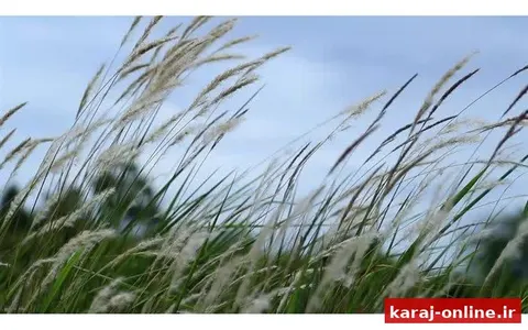 پیش‌بینی وزش باد و گردوخاک در البرز تا چهارشنبه