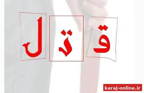 قتل به دلیل عصبانیت از راننده در حال آموزش