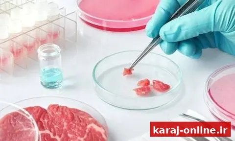 توضیح دامپزشکی درباره کشف گوشت اسب یا الاغ در کرج