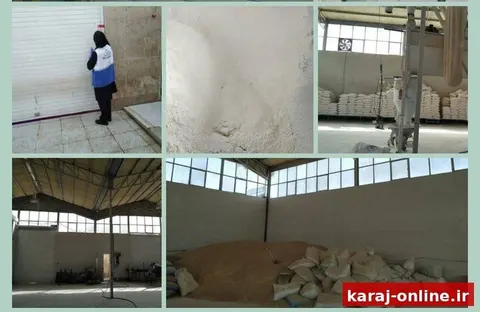 پلمب کارگاه تولید آرد در فردیس به دلیل وجود حشرات زنده و فضولات پرنده