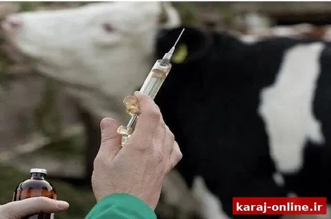 هیچ نشانه‌ای از تب برفکی در استان مشاهده نشده است