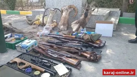 کشف حیوانات تاکسیدرمی‌شده، ۶ اسلحه و بیش از ۱۰۰۰ فشنگ در فردیس