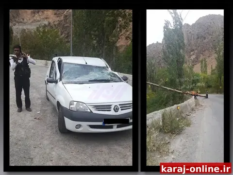 فوری | حادثه در جاده چالوس: سقوط درخت و خسارت به خودرو