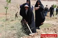 ریشه‌های امید در البرز؛ ۱۱۰ هزار نهال به یاد شهدا کاشته می‌شود